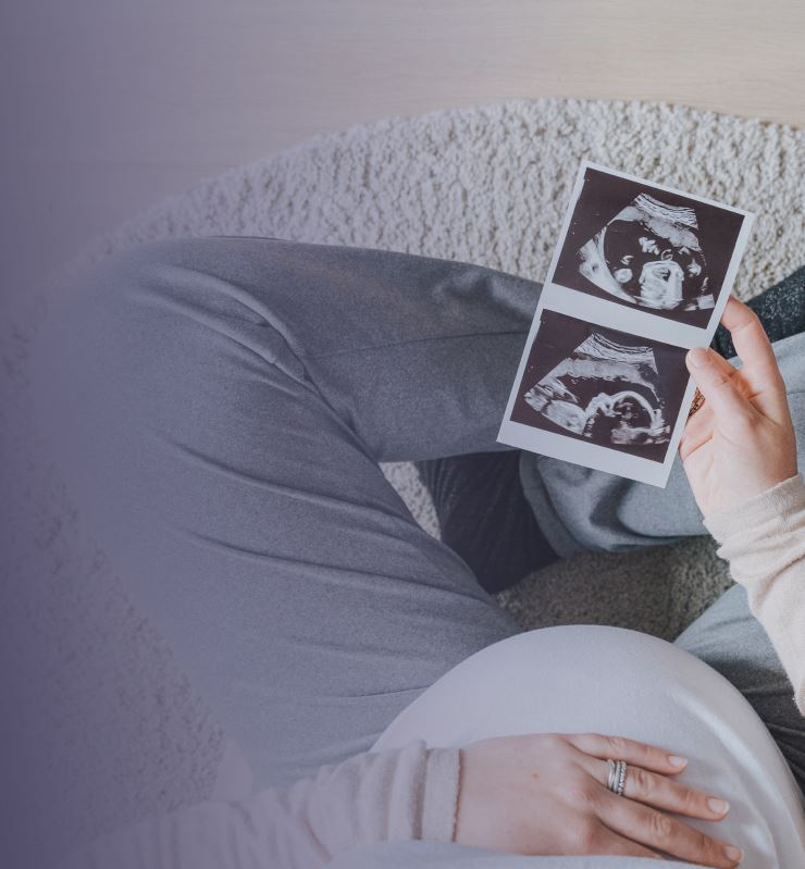 Surrogacy & Assisted Reproduction